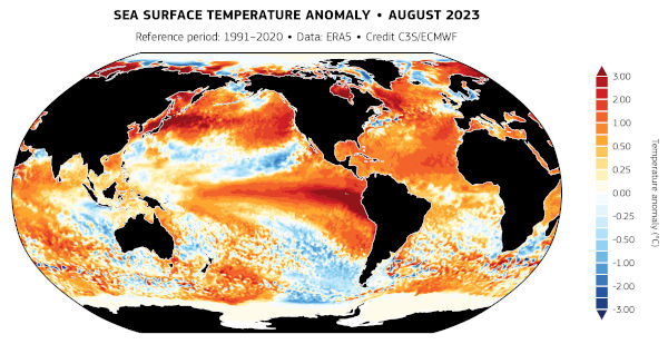 Global sea surface temperature anomaly,
    world map, August 2023